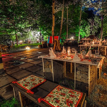 Solang Valley Resort Palchan Екстер'єр фото