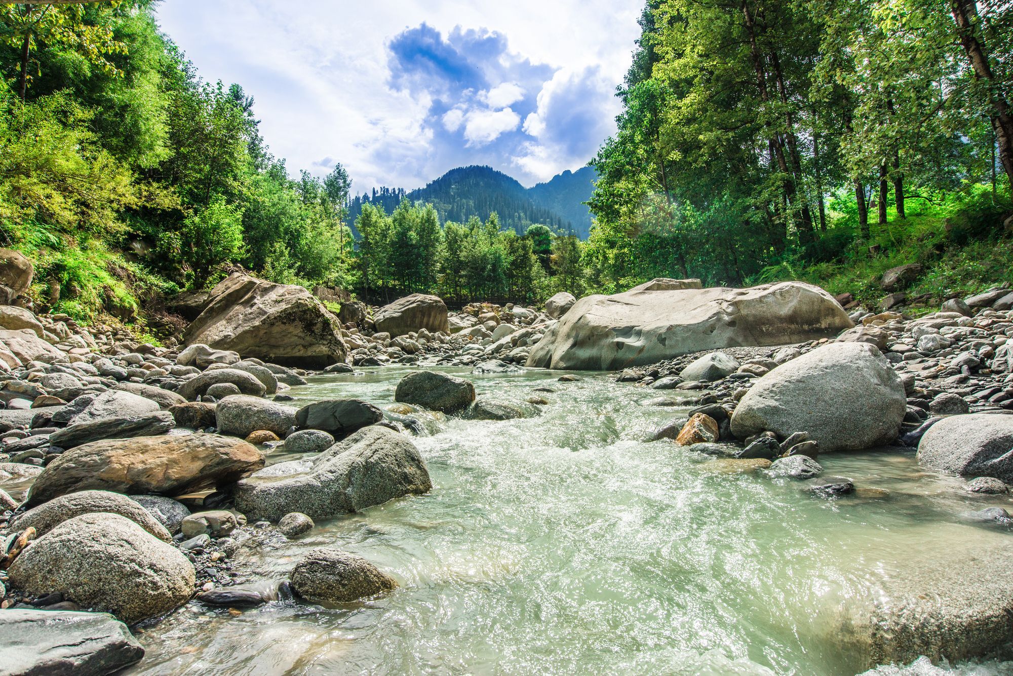 Solang Valley Resort Palchan Екстер'єр фото