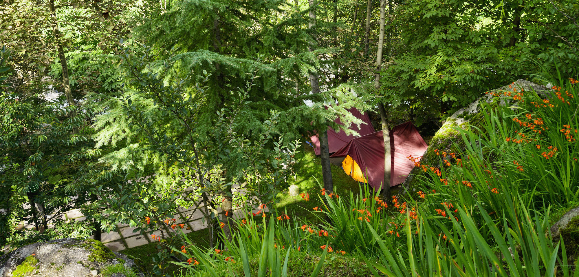 Solang Valley Resort Palchan Екстер'єр фото