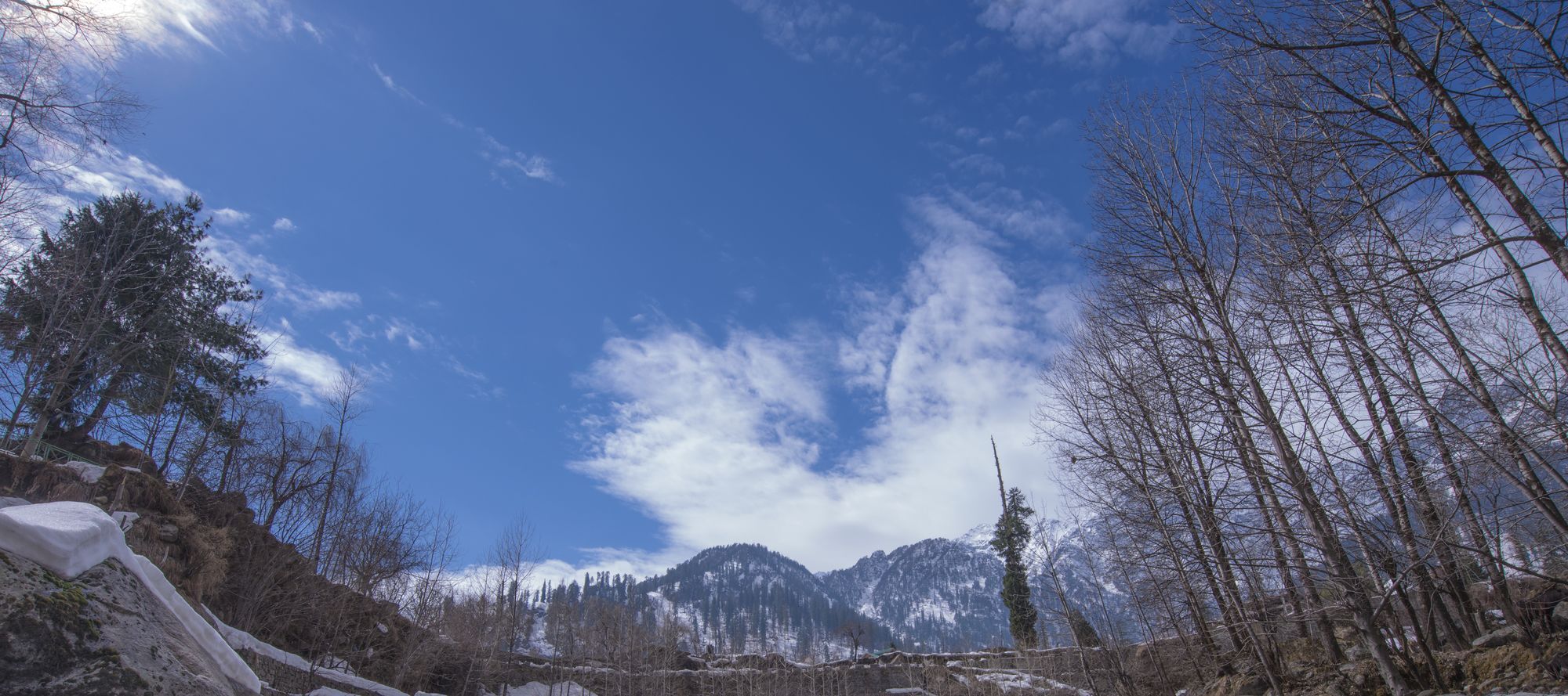 Solang Valley Resort Palchan Екстер'єр фото