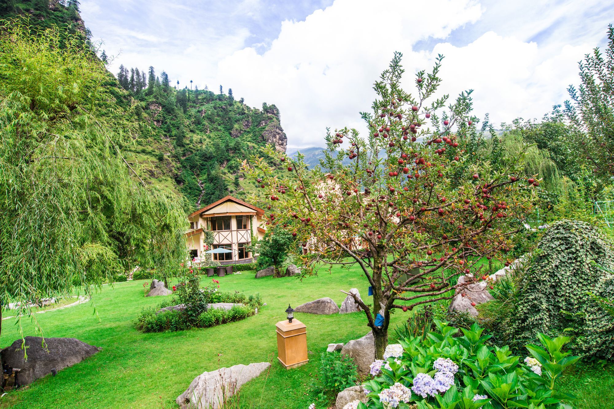 Solang Valley Resort Palchan Екстер'єр фото