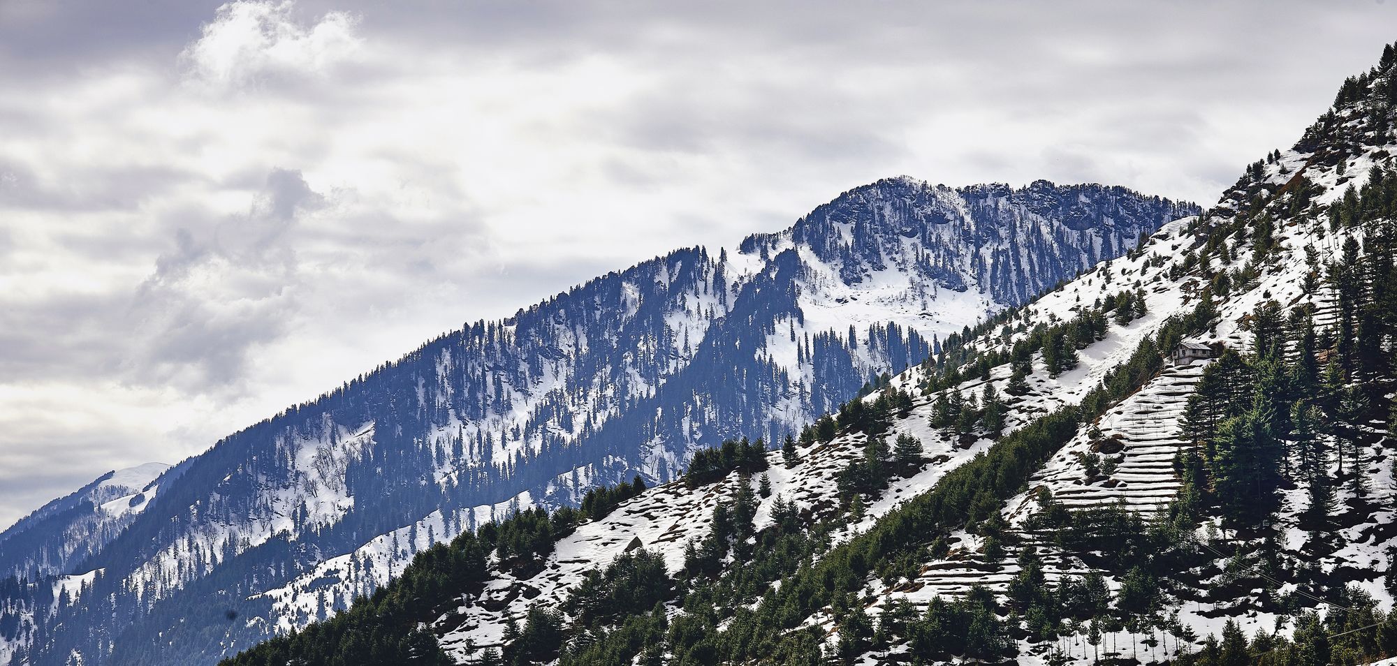 Solang Valley Resort Palchan Екстер'єр фото