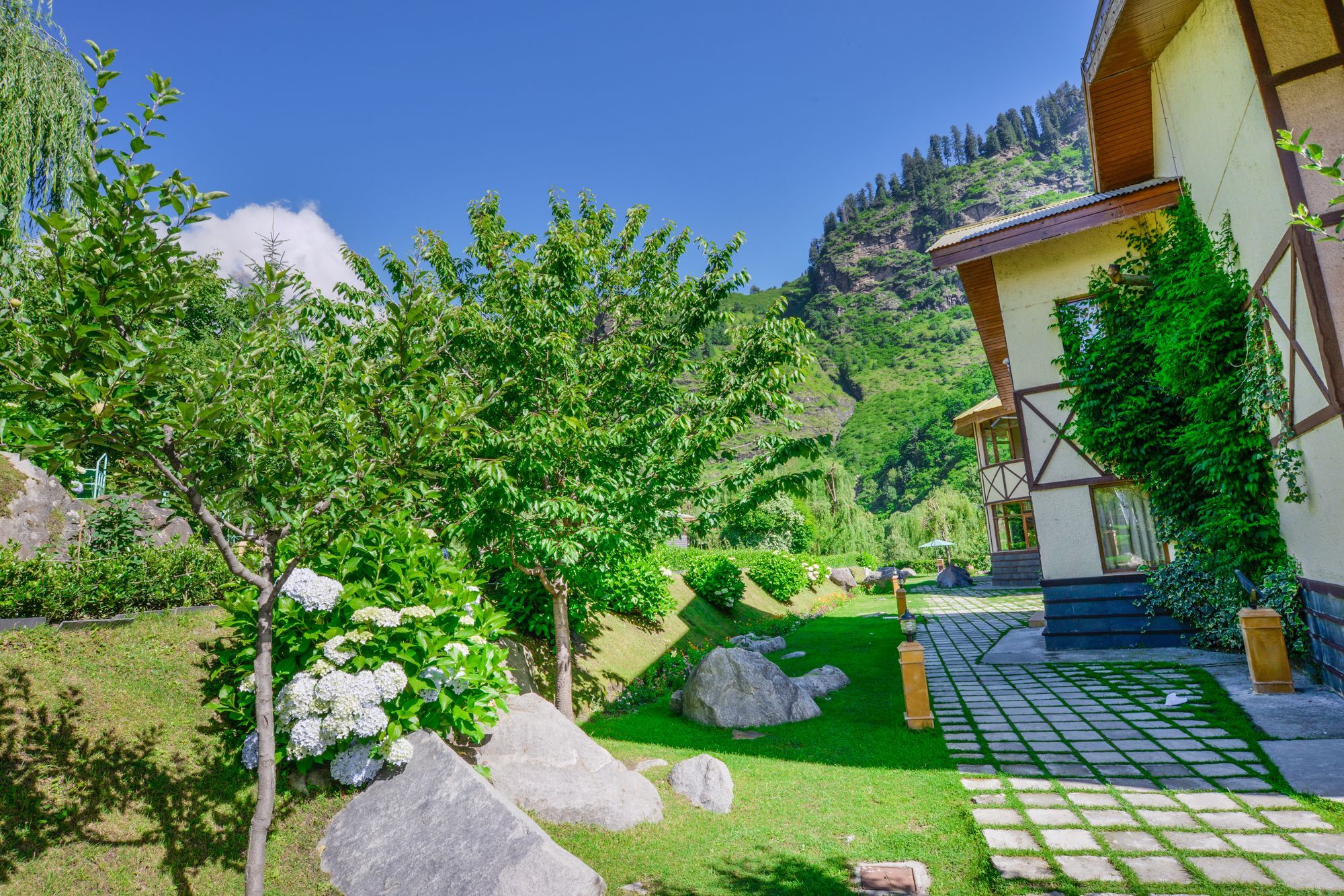 Solang Valley Resort Palchan Екстер'єр фото