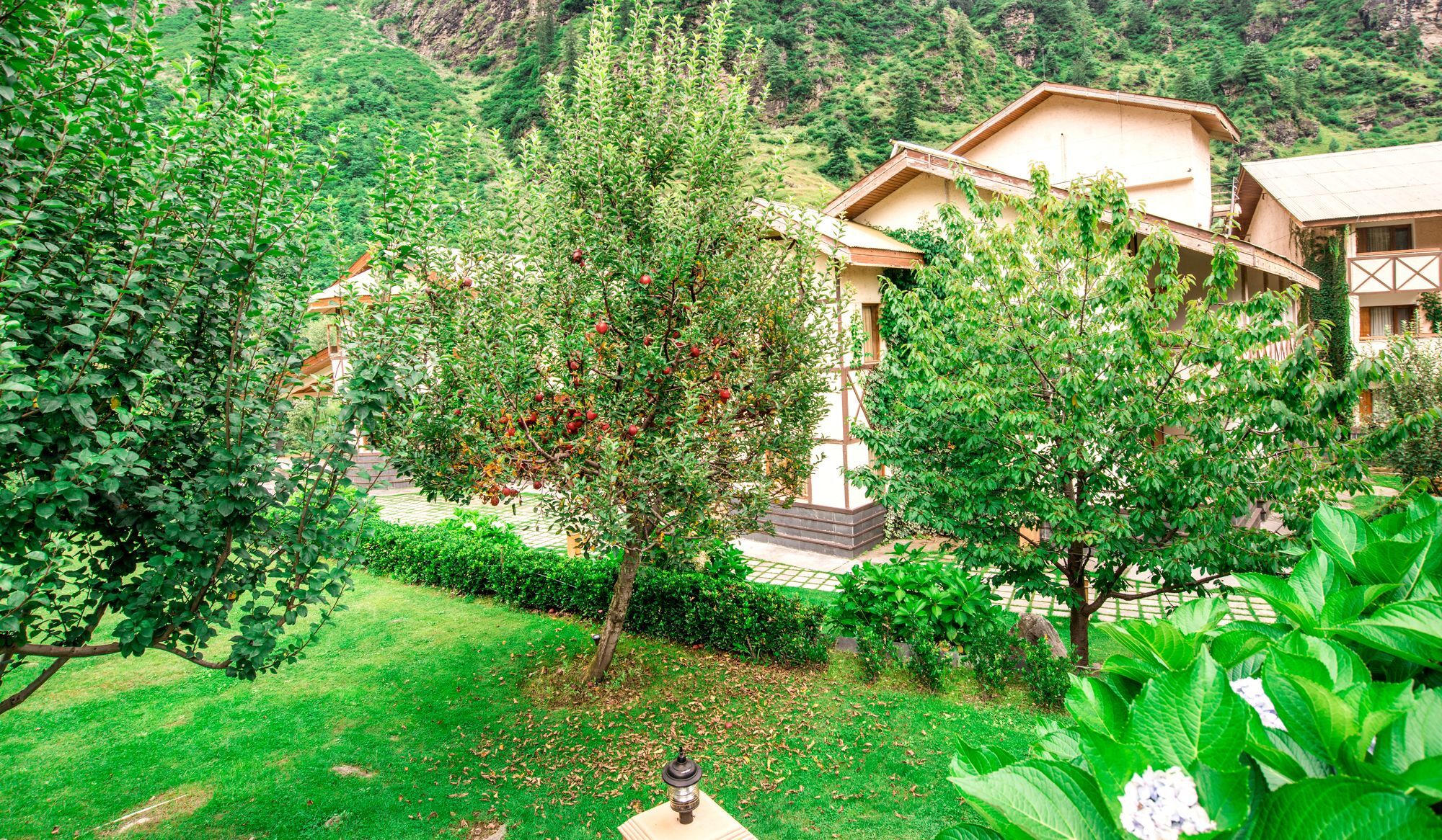 Solang Valley Resort Palchan Екстер'єр фото