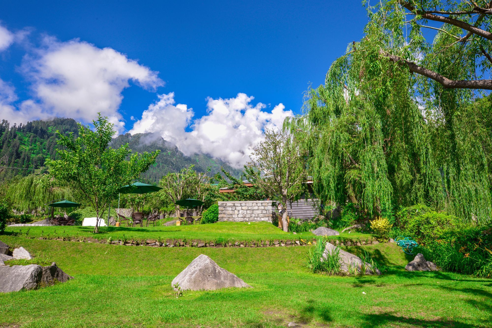Solang Valley Resort Palchan Екстер'єр фото
